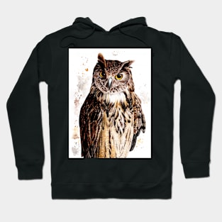 Owl Watercolor Hoodie